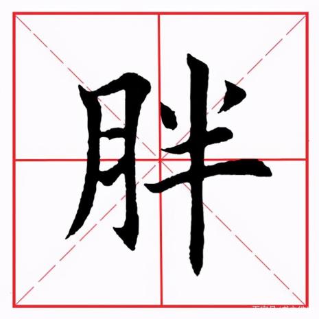 月字旁的字与什么有关