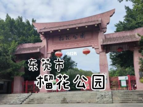 东莞哪里公园比较大