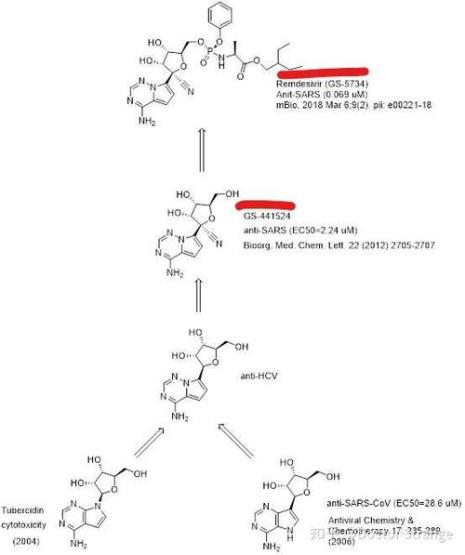 维生素pp的活性形式