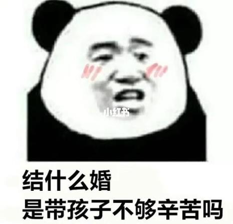 谈什么恋爱单身它不香吗表情包