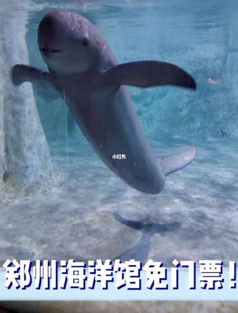 河南海洋馆十大排名