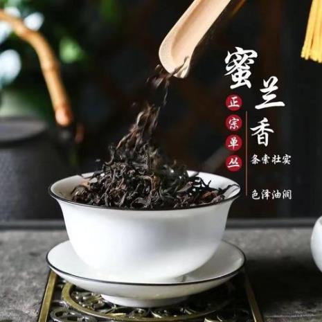 雪春密兰香是红茶吗