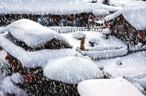 下雪的酸诗