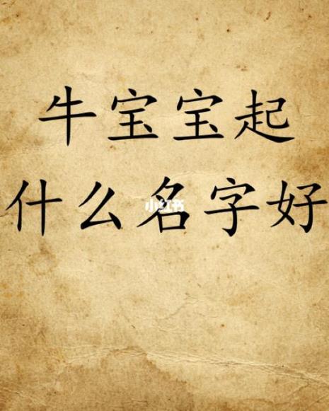 牛与哪个字同音