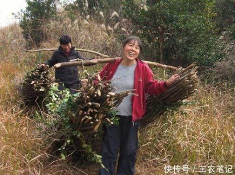 农村一个四五十户人家的叫什么