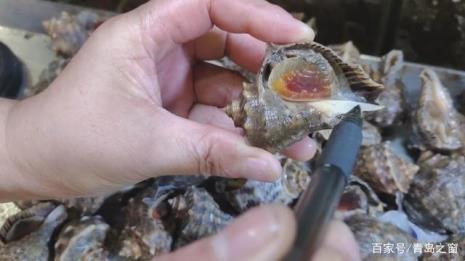 海螺珠煮熟和没煮熟有区别