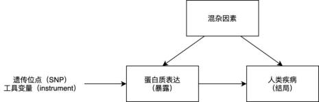 孟德尔随机化方法优点