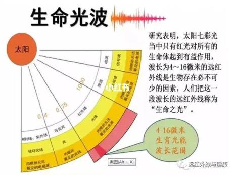 为什么叫红外线不是红外光