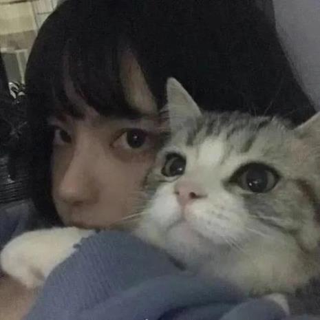 女人抱猫是什么意思