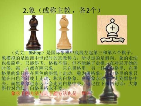 国际象棋士走法