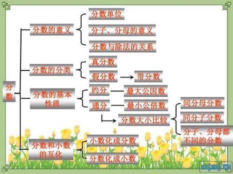 数学的含义是什么