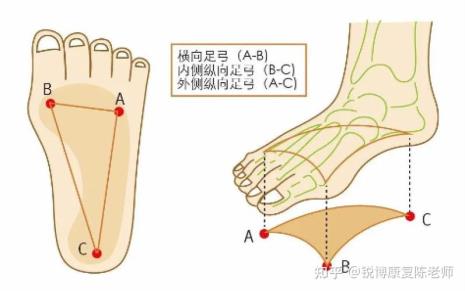 人体正常的足弓弧度是多少