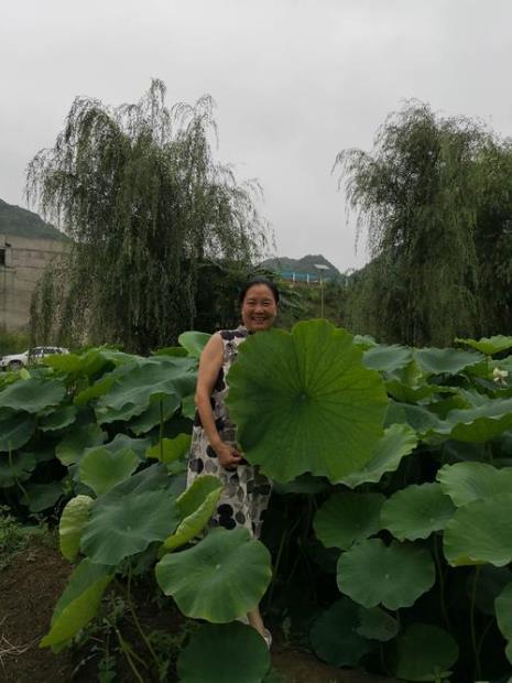 安顺十里荷塘什么时候开花