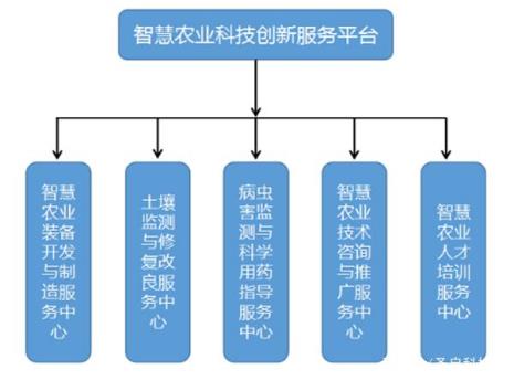 云农业发展前景如何