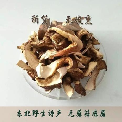 食用菌怕冻吗