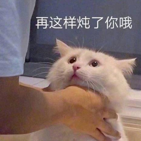 为什么男生喜欢发猫的表情包