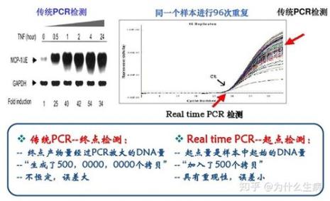 ccr和pcr的区别