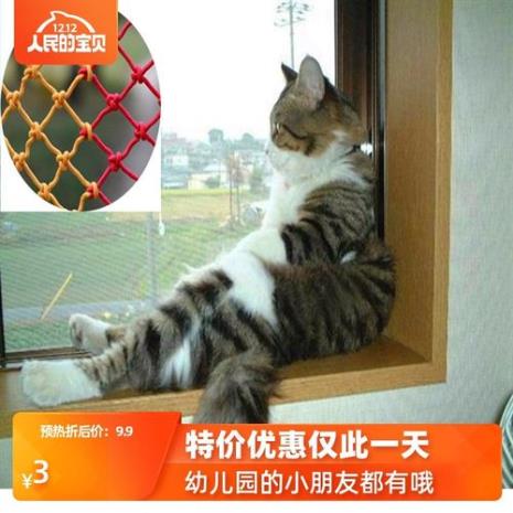 便携猫咪袋怎么装透明窗