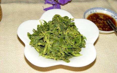 养心菜和扫帚菜的区别