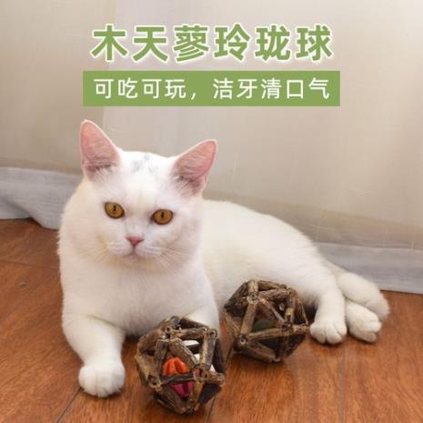 木天蓼对猫是否有作用