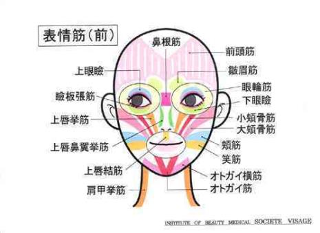 怎样减掉脸上的肌肉