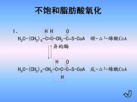 不饱和脂肪化学式