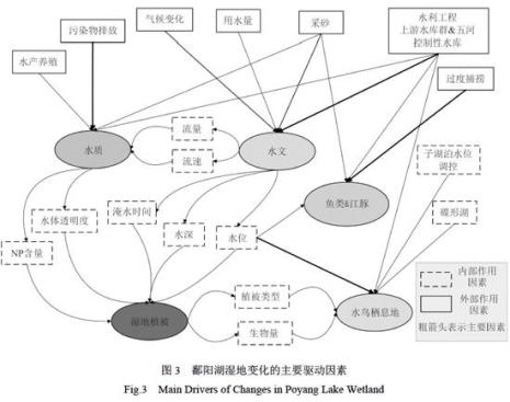 狭义的水文节律