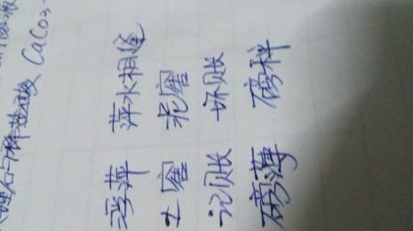 拨的组词2个字