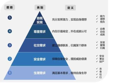 费斯严格提出了著名的什么理论