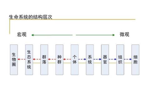 最简单的生命系统是什么