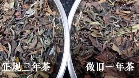 白茶的颜色是偏黄还是偏绿好