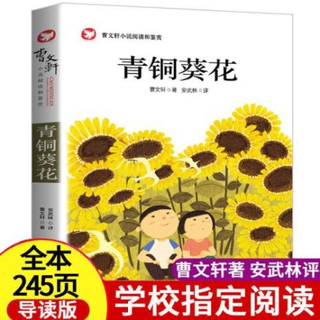 小学六年级适合看的书