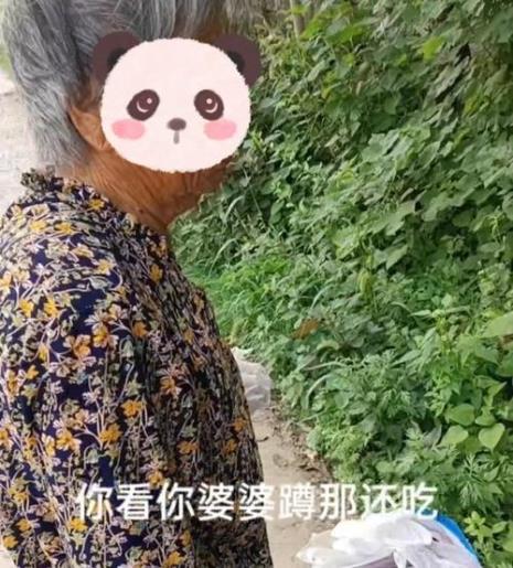 天天盼着婆婆早点死掉