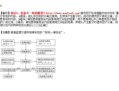 孟德尔演绎推理是什么意思