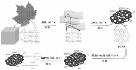 碳基生命的基本概念是什么