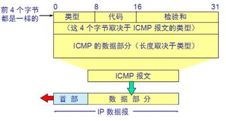 IP全称什么