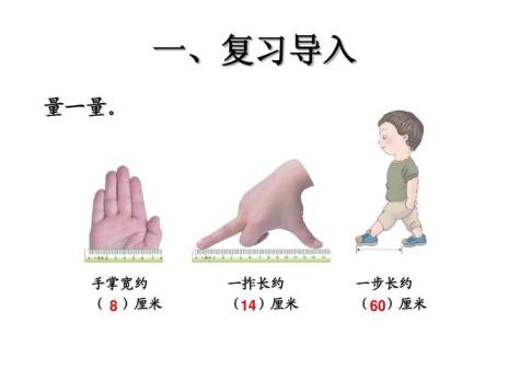 一拃大约长多少厘米