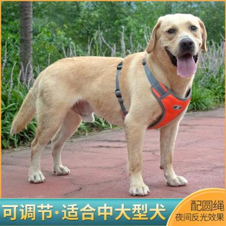 拉布拉多犬和法斗犬哪种凶