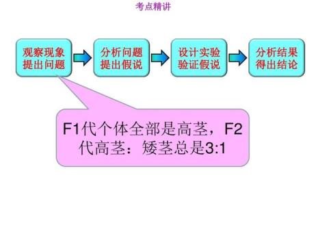 归纳演绎法的基础