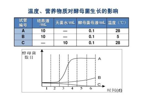 酵母菌总数计算公式是什么