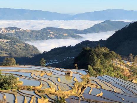 元阳梯田八月哪个景区最好