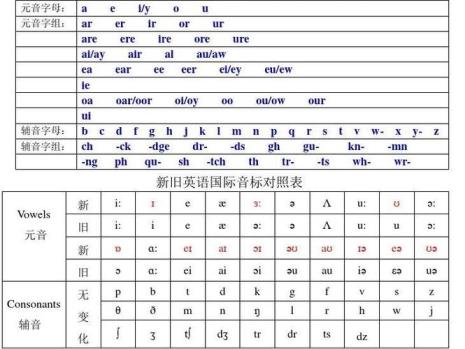 particularly有几个音节