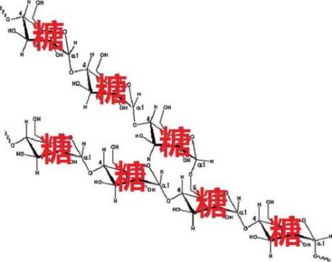 含淀粉的结构式