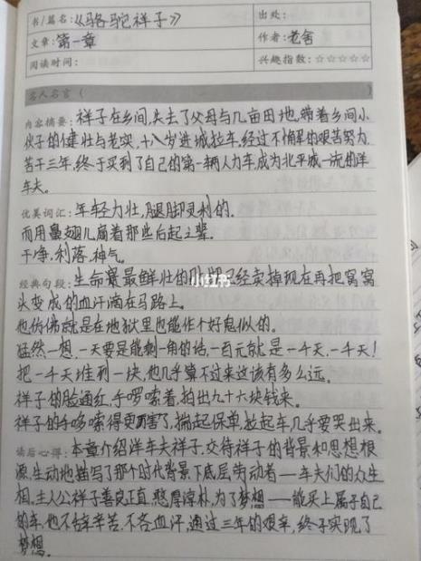 骆驼祥子概括每章20字