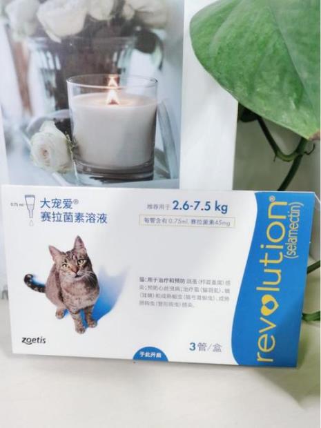 两个月的猫外驱用多少大宠爱