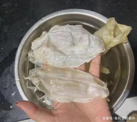 为什么花胶一泡就烂了