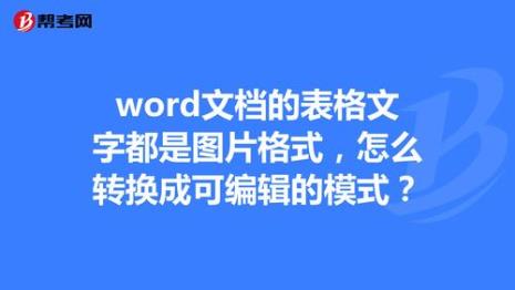 word文字方向怎么转换成段落格式