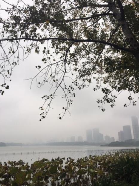 从此烟雨落金陵原文