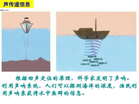 声音的传导顺序