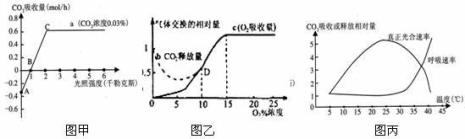 呼吸速率为什么与含水量有关